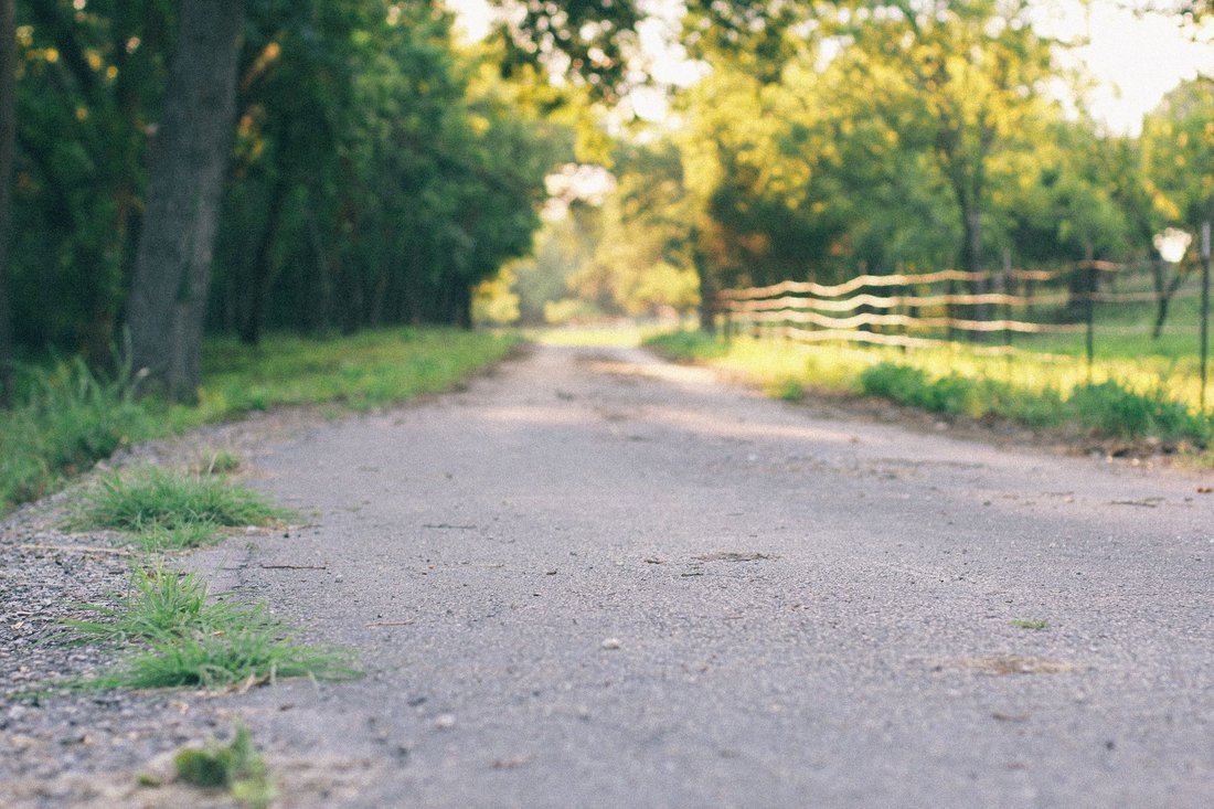 best day trips from austin