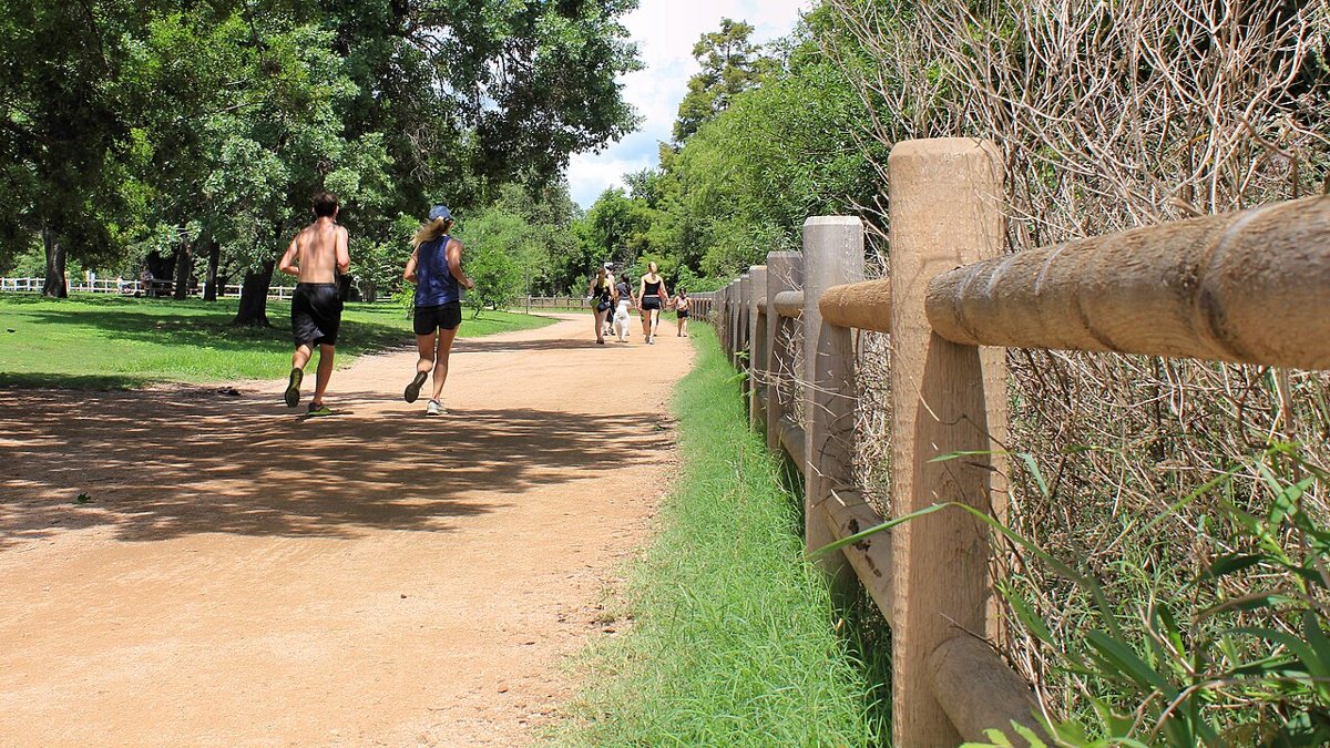 the boardwalk over Lady Bird Lake on the Butler Hike-and-Bike Trail